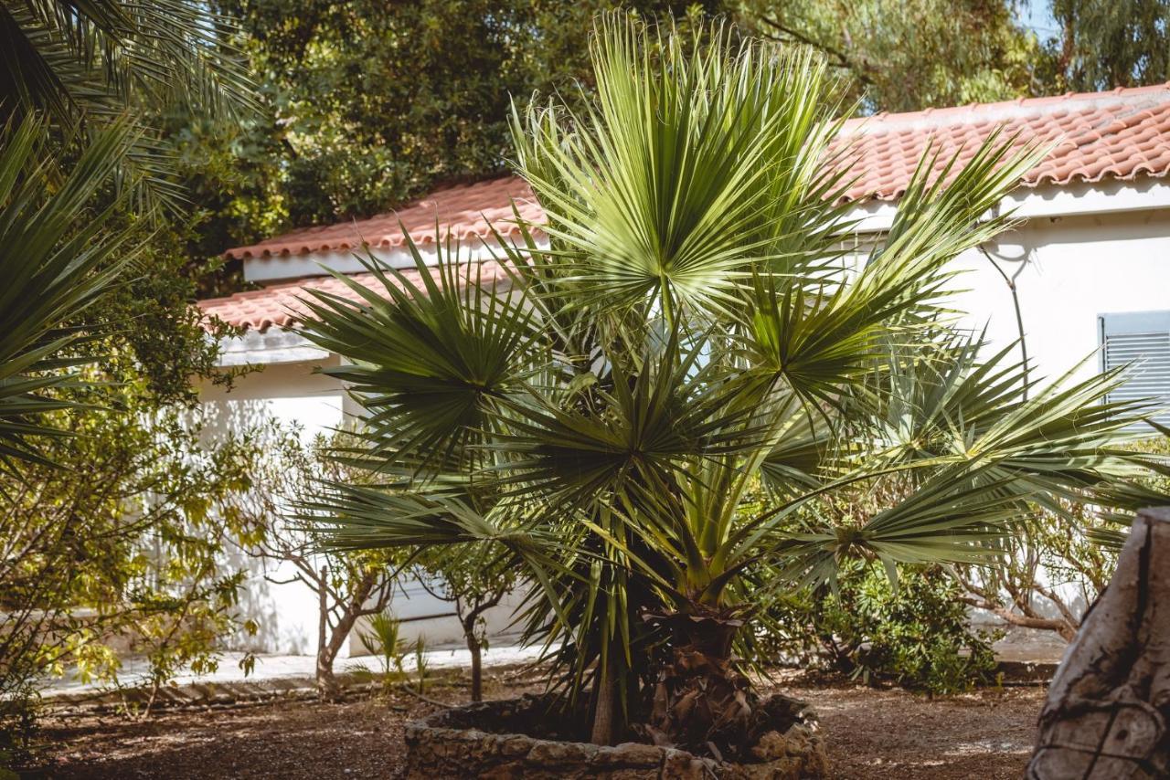 Iphigenia Mythic Retreat Apartment Hersonissos  Ngoại thất bức ảnh